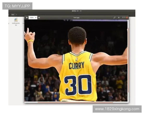 db体育官网的客户服务与支持渠道介绍